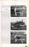 Country Life Saturday 02 January 1904 Page 41