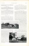 Country Life Saturday 16 January 1904 Page 61
