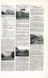 Country Life Saturday 05 March 1904 Page 15