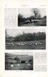 Country Life Saturday 19 March 1904 Page 44