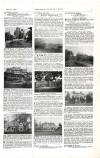 Country Life Saturday 09 April 1904 Page 11