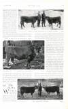Country Life Saturday 23 April 1904 Page 41