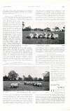 Country Life Saturday 04 June 1904 Page 67