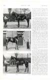 Country Life Saturday 18 June 1904 Page 44