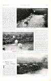 Country Life Saturday 16 July 1904 Page 41