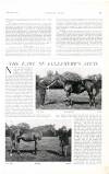 Country Life Saturday 16 July 1904 Page 49