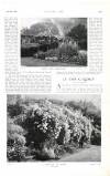 Country Life Saturday 30 July 1904 Page 57