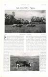 Country Life Saturday 03 September 1904 Page 62