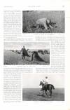 Country Life Saturday 10 September 1904 Page 45