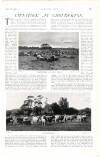 Country Life Saturday 10 September 1904 Page 61