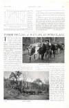 Country Life Saturday 01 October 1904 Page 45