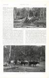 Country Life Saturday 01 October 1904 Page 47