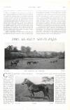 Country Life Saturday 01 October 1904 Page 57