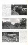 Country Life Saturday 01 October 1904 Page 63