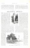 Country Life Saturday 08 October 1904 Page 49