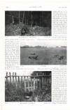 Country Life Saturday 15 October 1904 Page 62