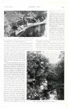 Country Life Saturday 15 October 1904 Page 67
