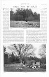 Country Life Saturday 08 April 1905 Page 42