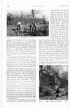 Country Life Saturday 15 April 1905 Page 16