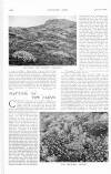 Country Life Saturday 13 May 1905 Page 28