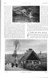 Country Life Saturday 22 July 1905 Page 31