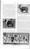 Country Life Saturday 29 July 1905 Page 16