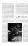 Country Life Saturday 05 August 1905 Page 8