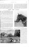 Country Life Saturday 05 August 1905 Page 33
