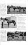 Country Life Saturday 12 August 1905 Page 33