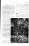 Country Life Saturday 26 August 1905 Page 10