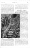 Country Life Saturday 26 August 1905 Page 29