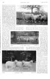 Country Life Saturday 02 September 1905 Page 32