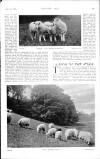 Country Life Saturday 02 September 1905 Page 33