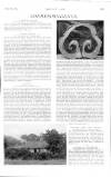 Country Life Saturday 02 September 1905 Page 35