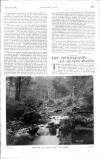 Country Life Saturday 23 September 1905 Page 11