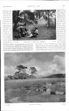 Country Life Saturday 30 September 1905 Page 29