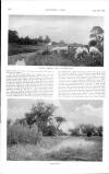 Country Life Saturday 30 September 1905 Page 30