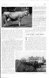 Country Life Saturday 30 September 1905 Page 33
