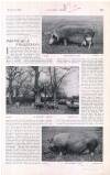 Country Life Saturday 17 March 1906 Page 65