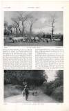 Country Life Saturday 07 April 1906 Page 45