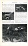 Country Life Saturday 21 April 1906 Page 50