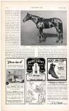 Country Life Saturday 26 May 1906 Page 104