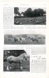 Country Life Saturday 07 July 1906 Page 67