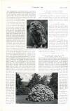 Country Life Saturday 21 July 1906 Page 74