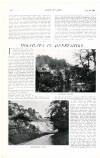 Country Life Saturday 04 August 1906 Page 80