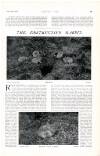 Country Life Saturday 22 September 1906 Page 35