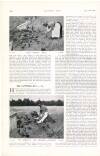 Country Life Saturday 29 September 1906 Page 46
