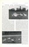 Country Life Saturday 20 October 1906 Page 62