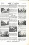 Country Life Saturday 05 January 1907 Page 5