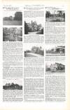 Country Life Saturday 02 March 1907 Page 17
